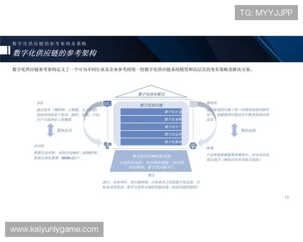 开云KY国际版：探索国际版在跨境电商和全球供应链管理中的应用潜力