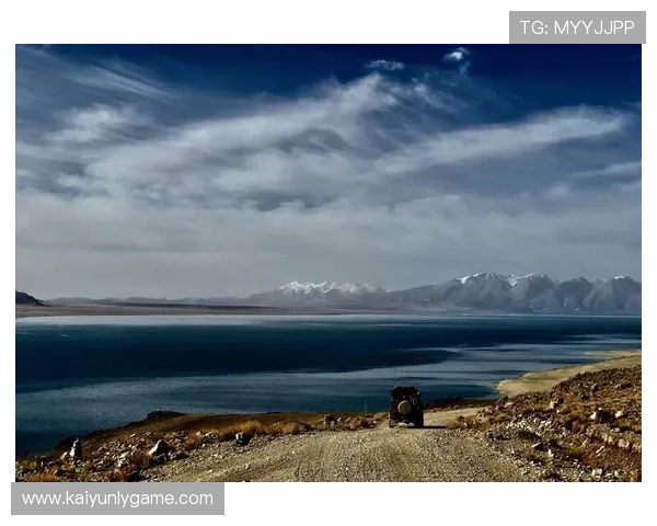 开云官网登录入口指南帮助用户顺利进入账号管理页面 开云官网登录入口指南帮助用户顺利进入账号管理页面