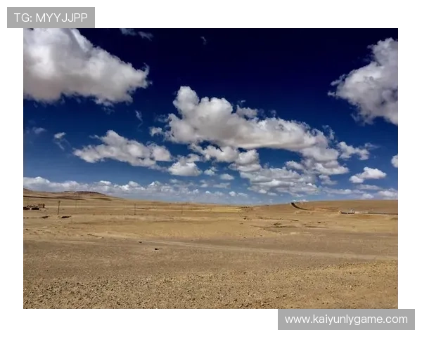中国开云ap的市场竞争分析,探讨行业领先者的优势与发展潜力 中国开云ap的市场竞争分析,探讨行业领先者的优势与发展潜力