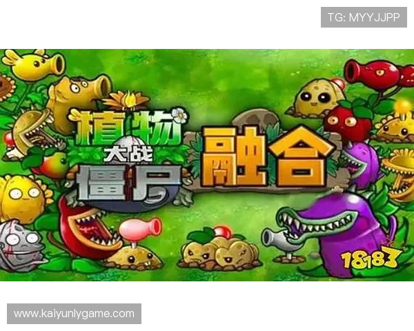 如何正确使用开云体育网页版入口实现多设备同步登录提升游戏体验 如何正确使用开云体育网页版入口实现多设备同步登录提升游戏体验